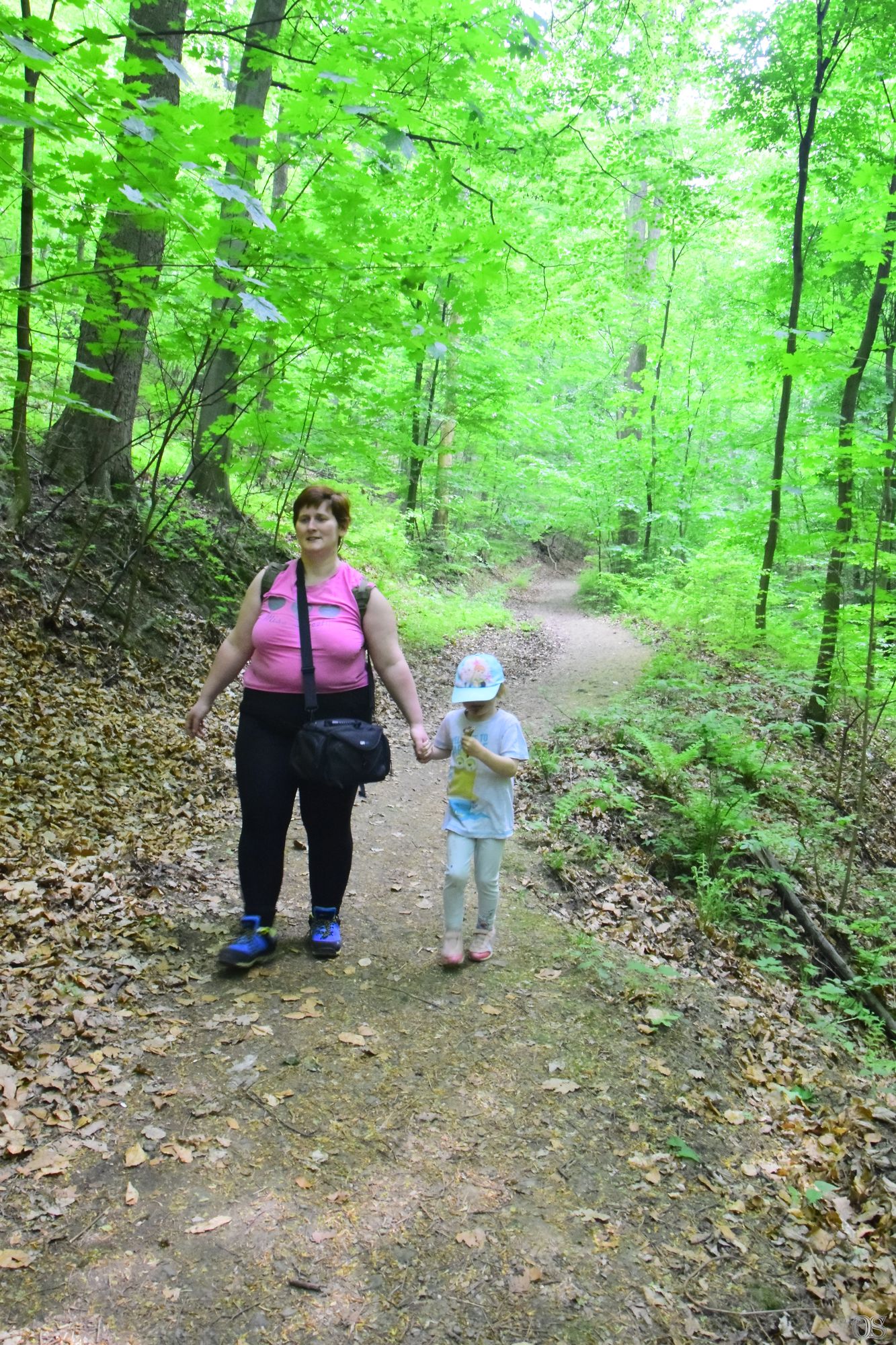 Sciezka Hochbergow 16.jpg
